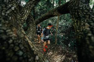 BIB: 
                            <button type="button" onclick="openModal(25391916)" class="btn btn-primary btn-sm float-right btn-popup" data-toggle="modal" data-target=".modal-high-quality">
                        <i class="fas fa-shopping-cart"></i> Add to Cart
                    </button>
                                            <button type="button" onclick="isThisMe(25391916, true)" class="btn btn-success btn-sm float-right btn-popup btn-isme hidden" data-toggle="tooltip" data-placement="bottom" title="นี่คือรูปของคุณใช่ไหม คลิกที่นี่เพื่อเอาเข้าอัลบั้ม">
                        <i class="fas fa-plus"></i> Add to album
                    </button>
                    <button type="button" onclick="isThisMe(25391916, false)" class="btn btn-warning btn-sm float-right btn-popup btn-isnotme hidden">
                        <i class="fas fa-ban"></i> Remove from album
                    </button>